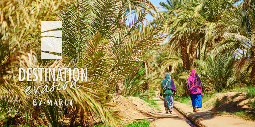 Destination Evasion Specialist Travel Agent in Morocco