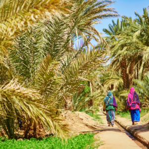 Rando chamelière dans les dunes du Sahara